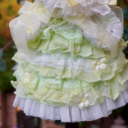 森の妖精【Miss blue pet】