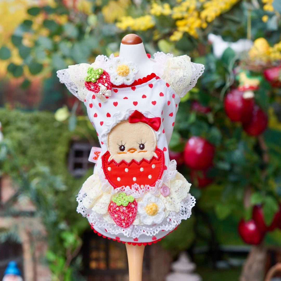 いちごひよこちゃん【miss blue pet】