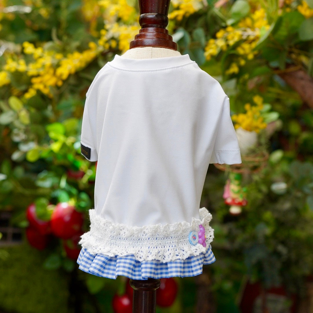 トラディショナルPコート＆ストレッチTee【OROKU】