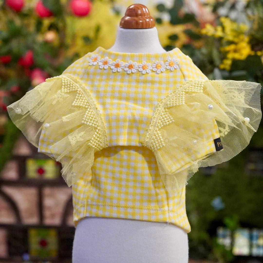 ｵﾘｼﾞﾅﾙｷﾞﾝｶﾞﾑﾁｪｯｸTｼｬﾂ