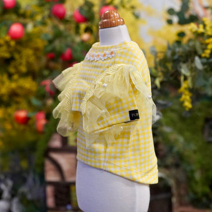 ｵﾘｼﾞﾅﾙｷﾞﾝｶﾞﾑﾁｪｯｸTｼｬﾂ