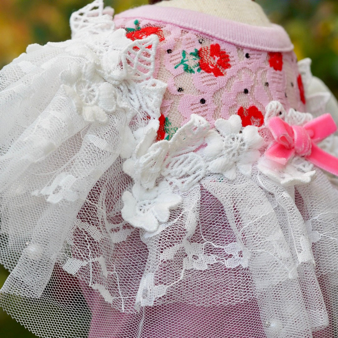 テラフリルタンク【Ruban d'or】