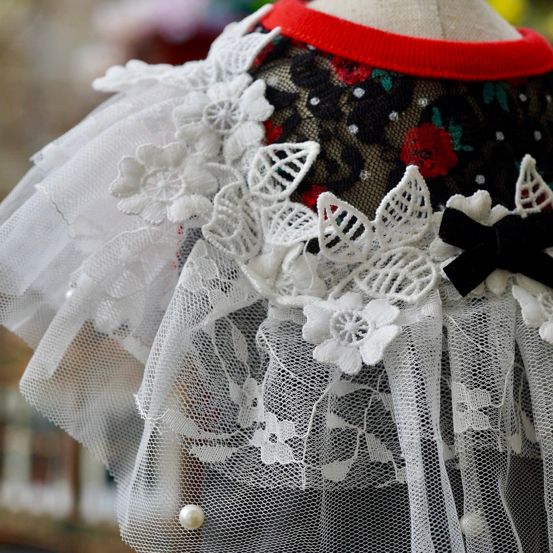 テラフリルタンク【Ruban d'or】